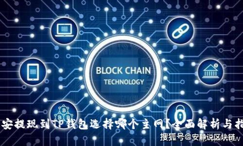 币安提现到TP钱包选择哪个主网？全面解析与指南