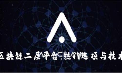 探索区块链二层平台：热门选项与技术比较