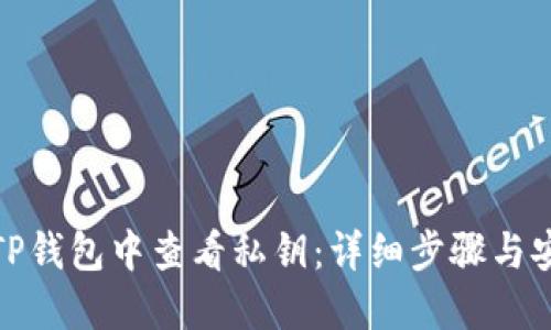如何在TP钱包中查看私钥：详细步骤与安全建议