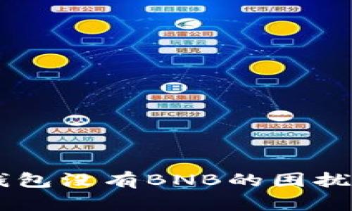 如何解决TP钱包没有BNB的困扰: 全方位指南