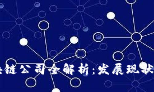 临淄区区块链公司全解析：发展现状与未来潜力