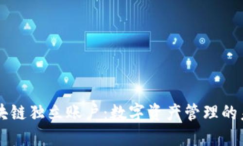 区块链独立账户：数字资产管理的未来