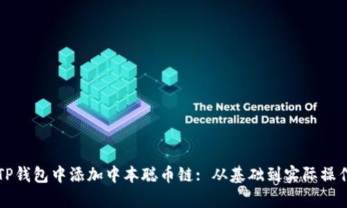 如何在TP钱包中添加中本聪币链: 从基础到实际操作全解析