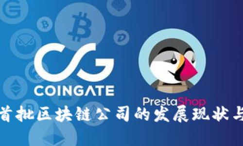 国内首批区块链公司的发展现状与影响