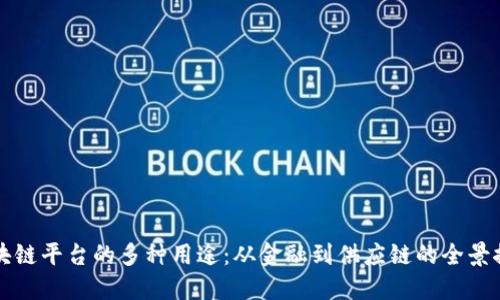 区块链平台的多种用途：从金融到供应链的全景探讨