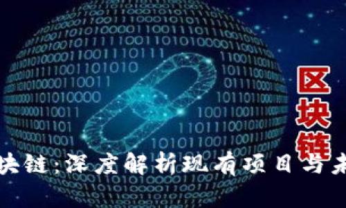 夸克区块链：深度解析现有项目与未来潜力