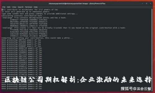 区块链公司期权解析：企业激励的未来选择