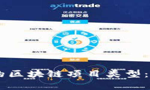 多样化的区块链项目类型：深度解析