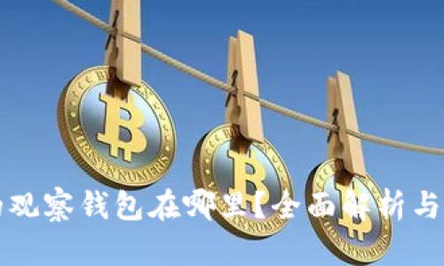 TP钱包的观察钱包在哪里？全面解析与实用指南