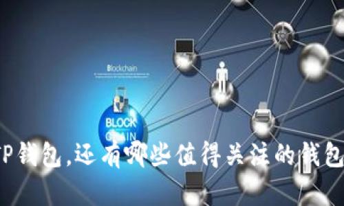 除了TP钱包，还有哪些值得关注的钱包选择？