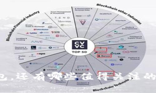 除了TP钱包，还有哪些值得关注的钱包选择？