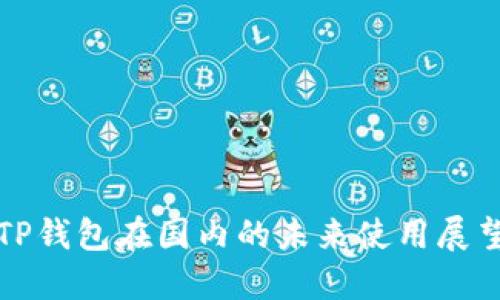 TP钱包在国内的未来使用展望