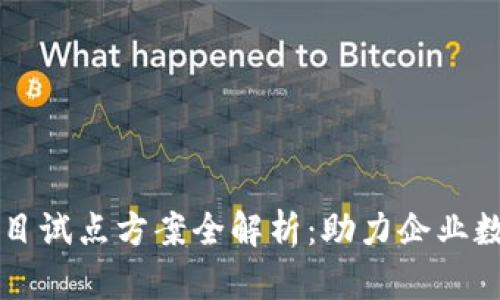 区块链项目试点方案全解析：助力企业数字化转型
