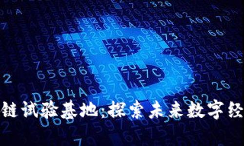 贵阳区块链试验基地：探索未来数字经济的先锋