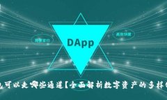 TP钱包可以走哪些通道？全