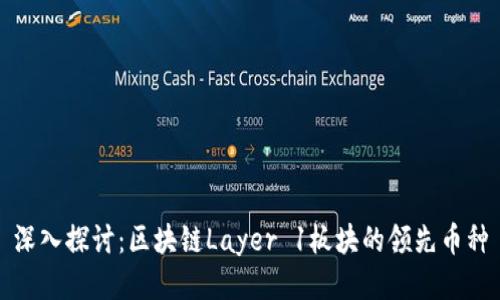 深入探讨：区块链Layer 1板块的领先币种