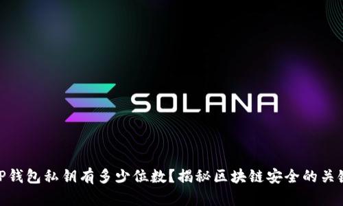 TP钱包私钥有多少位数？揭秘区块链安全的关键