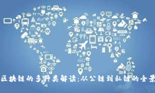创世区块链的多种类解读：从公链到私链的全景分析