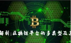 全面解析：区块链平台的