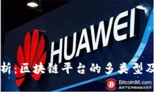 全面解析：区块链平台的多类型及其应用