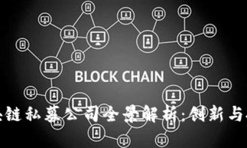 医疗区块链私募公司全景解析：创新与投资机会