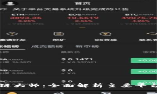币圈区块链大师：全面解析主要平台及其特征
