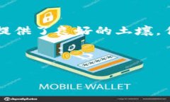 深圳区块链公司全景盘点