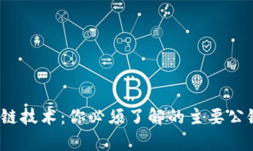 探索区块链技术：你必须了解的主要公链有哪些？