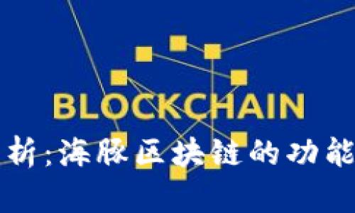 全面解析：海豚区块链的功能与应用