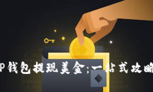 TP钱包提现美金：一站式攻略！