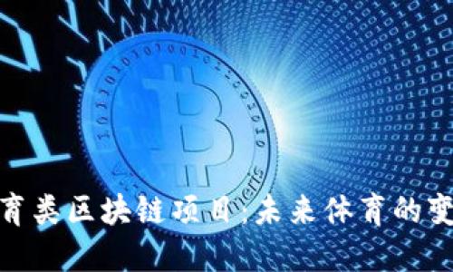 探索体育类区块链项目：未来体育的变革之路