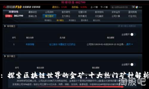 : 探索区块链世界的金矿：十大热门矿种解析