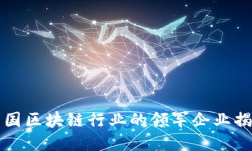 中国区块链行业的领军企业揭秘