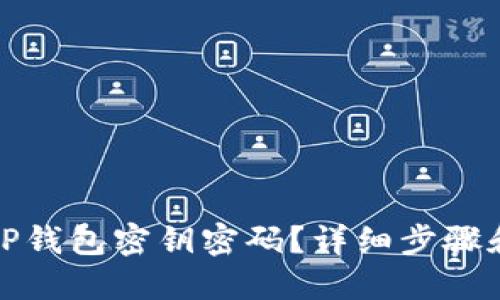 如何找回TP钱包密钥密码？详细步骤和实用建议