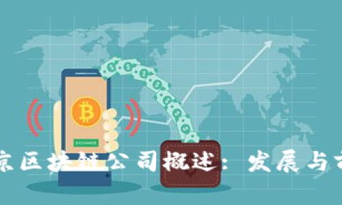 南京区块链公司概述: 发展与前景