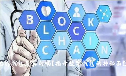 她tp钱包是真的吗？揭开数字钱包的神秘面纱