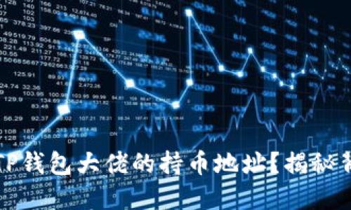 如何查看TP钱包大佬的持币地址？揭秘背后的秘密