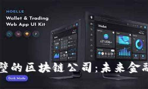 探索鹤壁的区块链公司：未来金融的新星