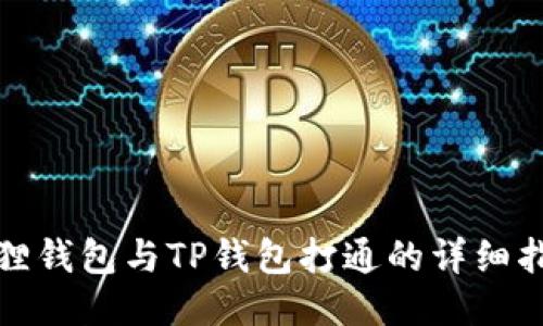 狐狸钱包与TP钱包打通的详细指南