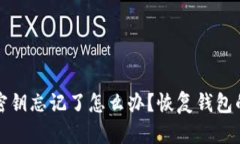 TP钱包钥匙密钥忘记了怎么