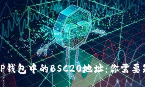 xiaoguo
深入了解TP钱包中的BSC20地址：你需要知道的一切