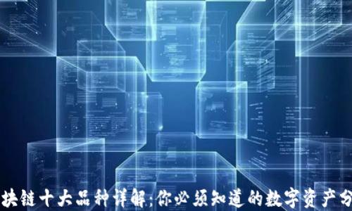 
区块链十大品种详解：你必须知道的数字资产分类