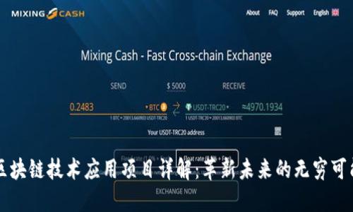 区块链技术应用项目详解：革新未来的无穷可能