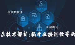 区块链底层技术解析：揭