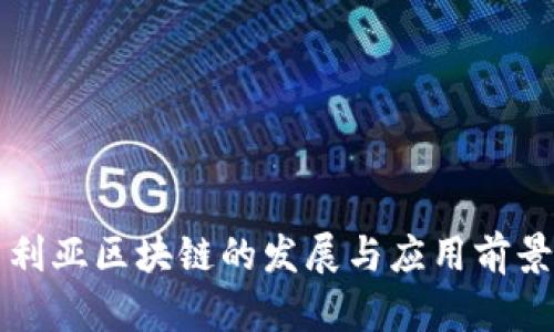 尼日利亚区块链的发展与应用前景分析