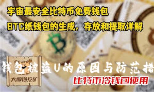 TP钱包被盗U的原因与防范措施