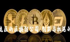 探索双流区的区块链公司