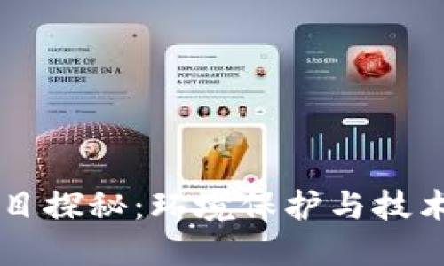 区块链清洁项目探秘：环境保护与技术创新的交汇点