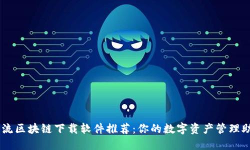 主流区块链下载软件推荐：你的数字资产管理助手