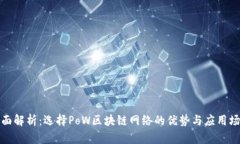 全面解析：选择PoW区块链